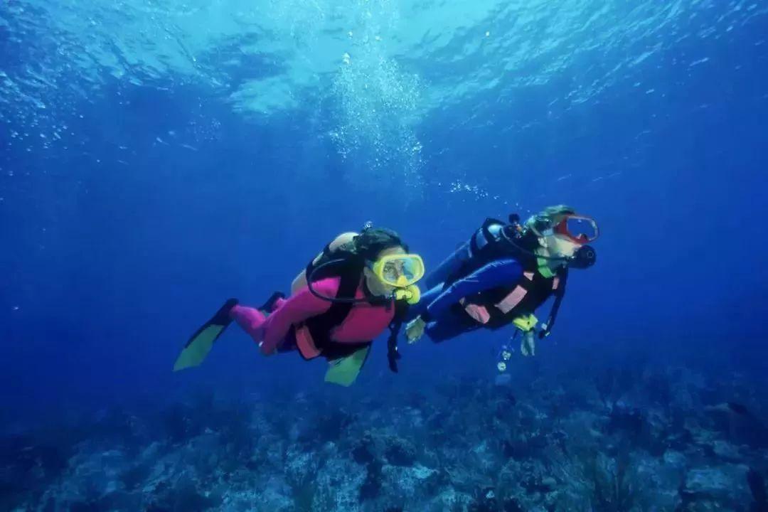 小猫钓鱼游戏龙王版有船